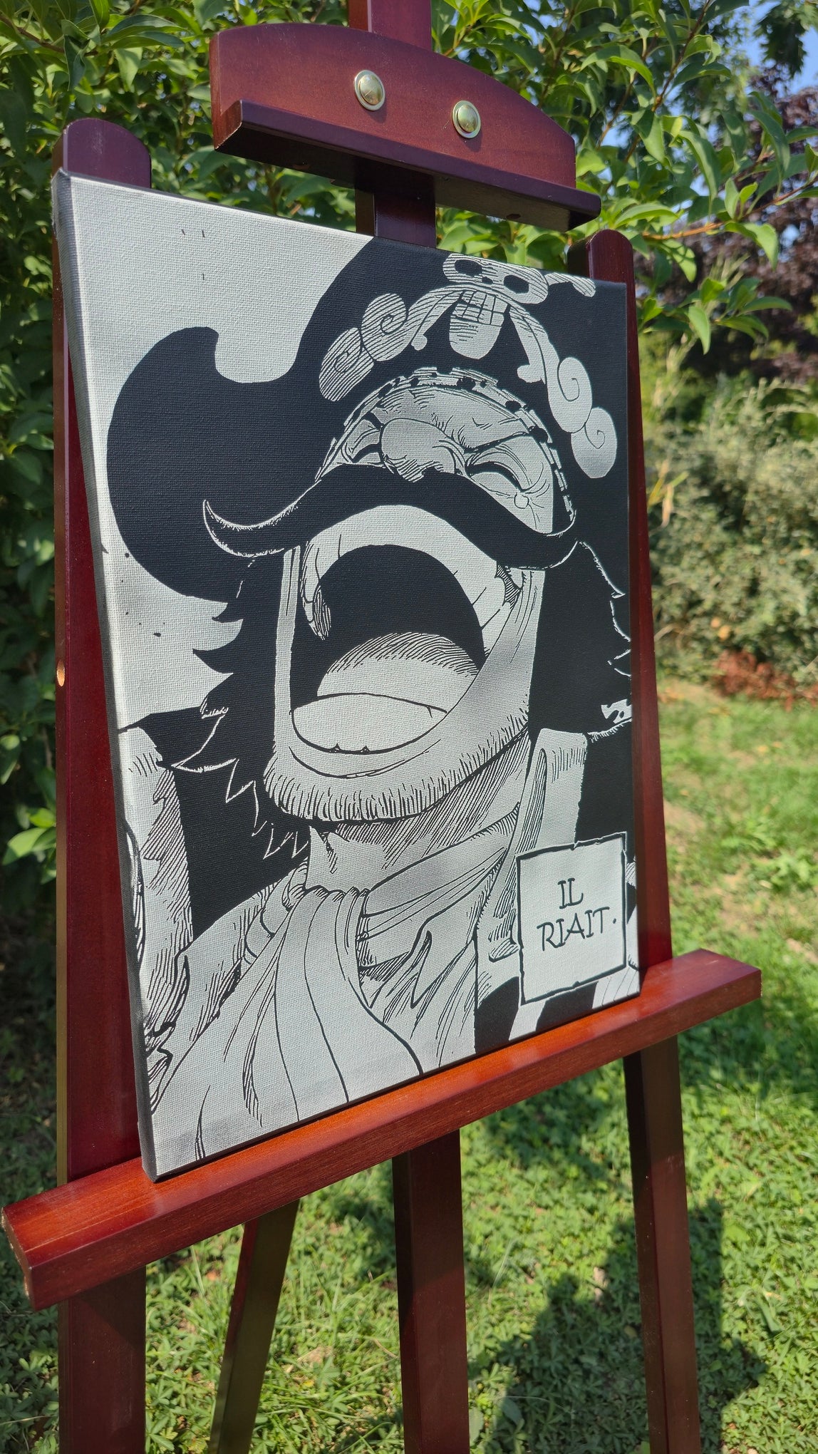 Cadeau geek One Piece tableau Gol D. Roger