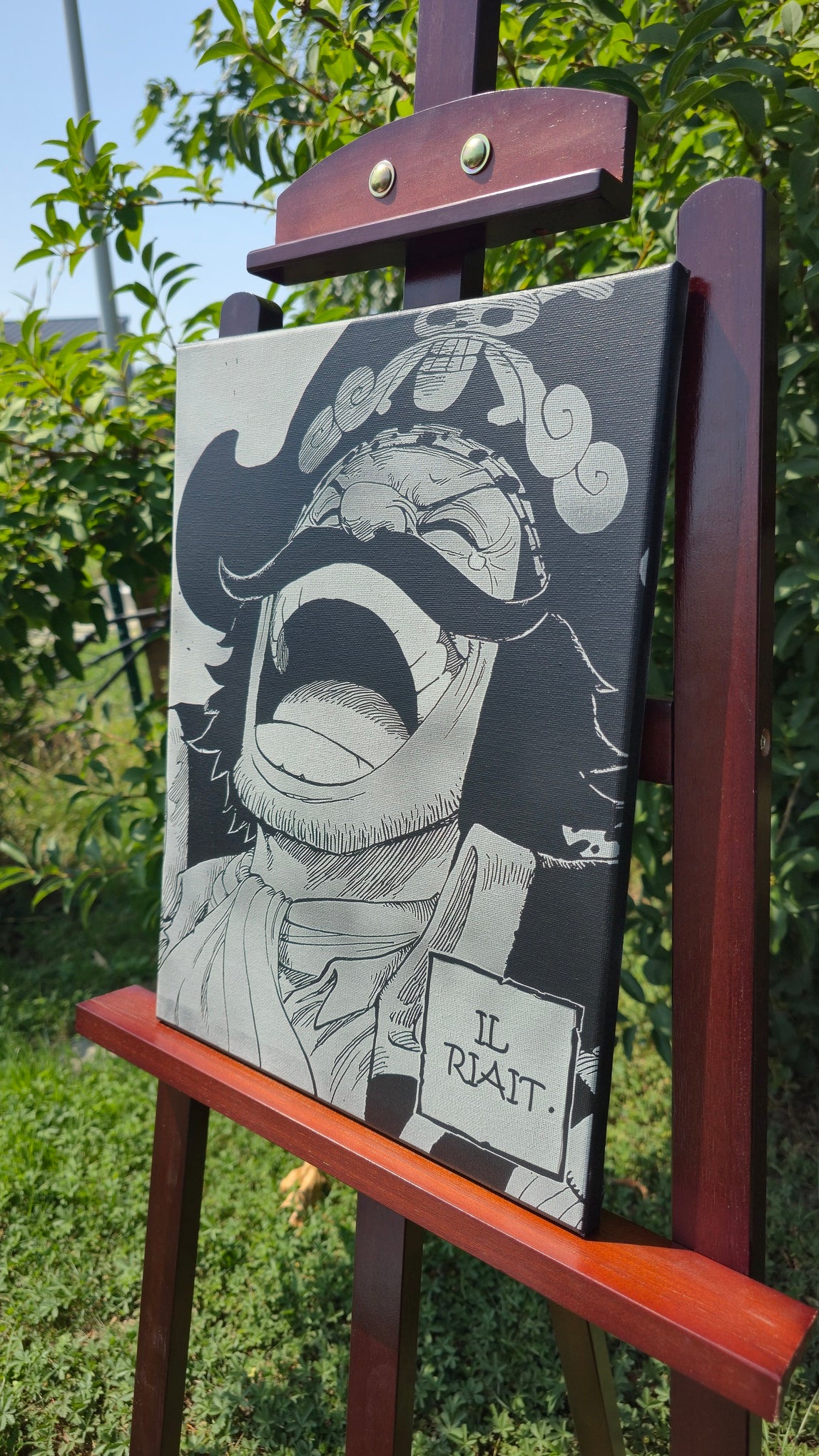 Décoration murale Gol D. Roger One Piece tableau gravé